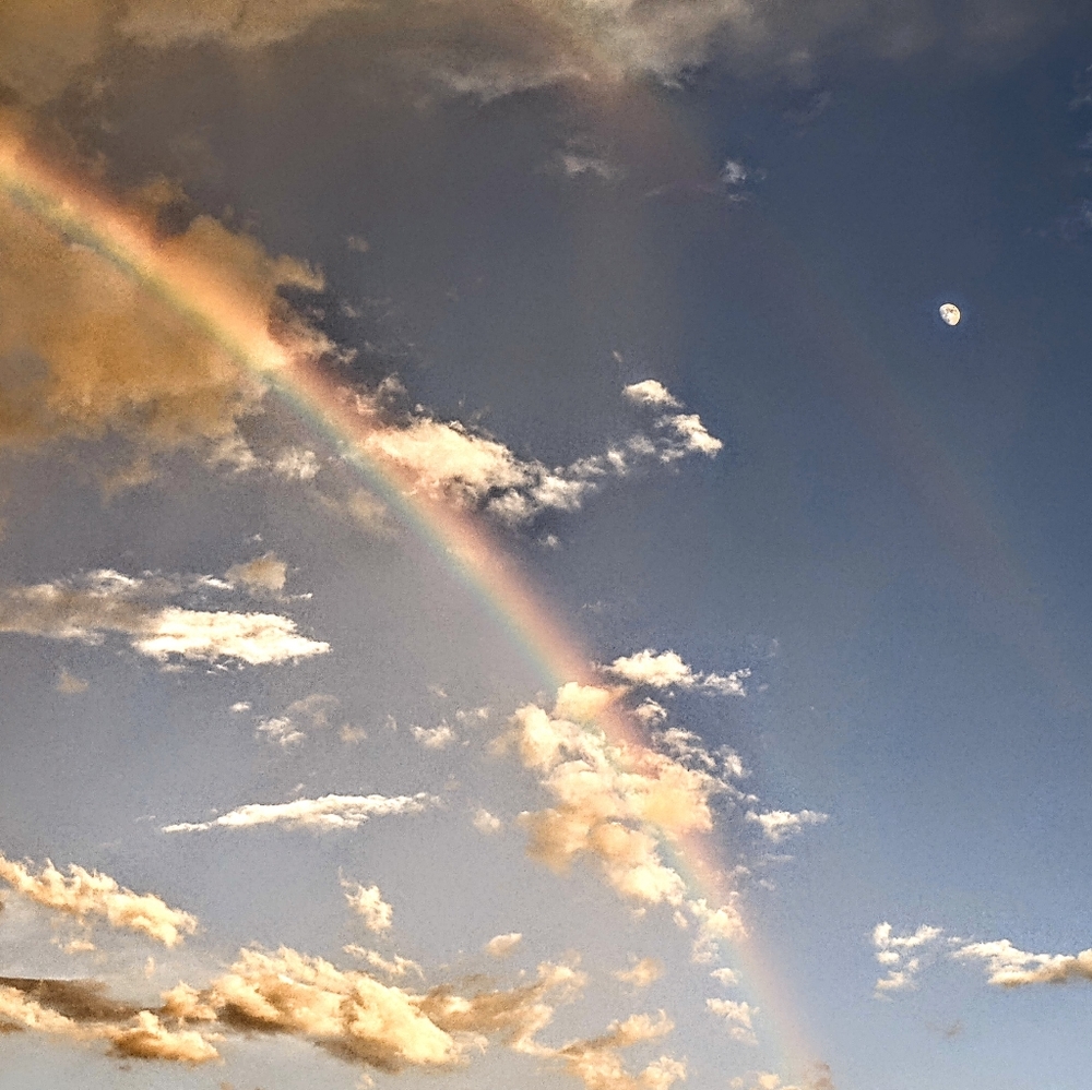 Meet your Posher, Josh